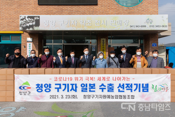 청양구기자 이미지