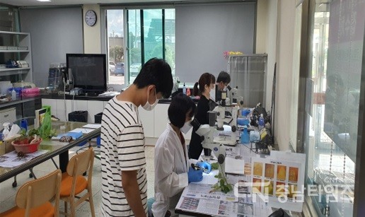 화아분화 검사장면