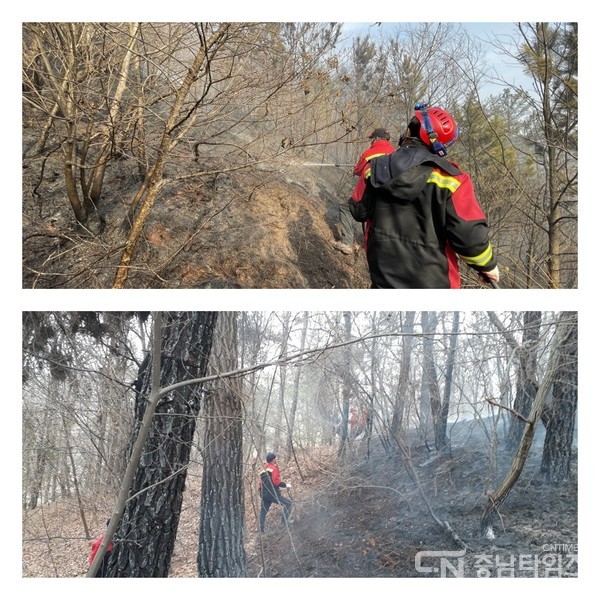 산불진화 작업 사진