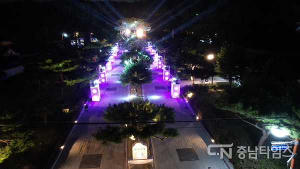 부여 세계유산 미디어아트 페스티벌 주요 장면. 사진=부여군