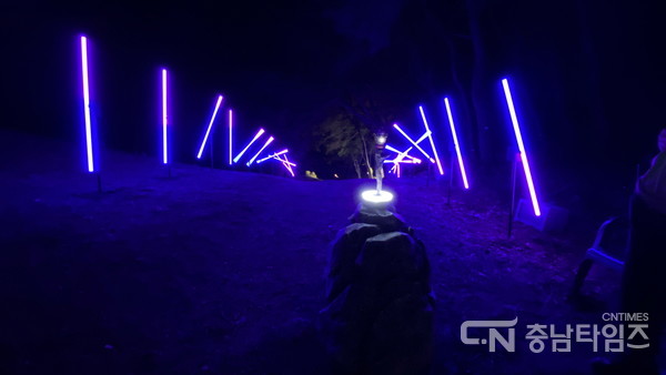 부여 세계유산 미디어아트 페스티벌 주요 장면. 사진=부여군