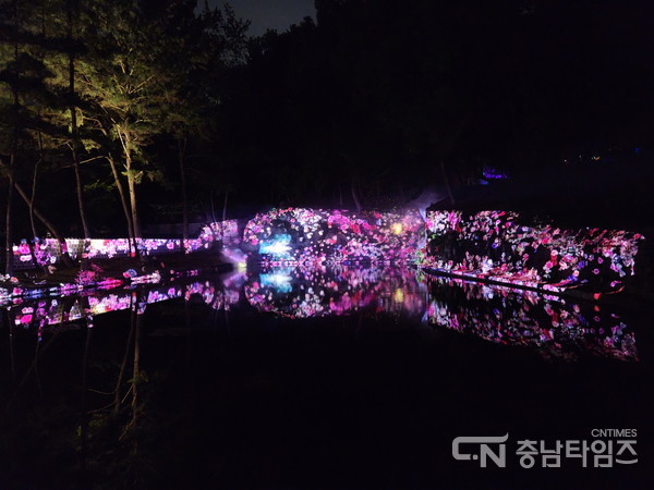 부여 세계유산 미디어아트 페스티벌 주요 장면. 사진=부여군