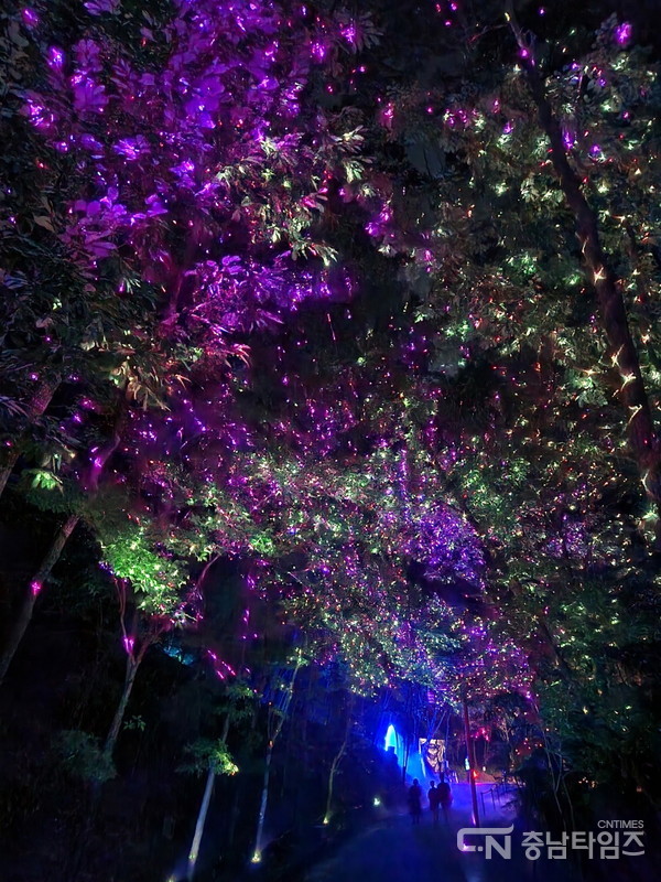 부여 세계유산 미디어아트 페스티벌 주요 장면. 사진=부여군