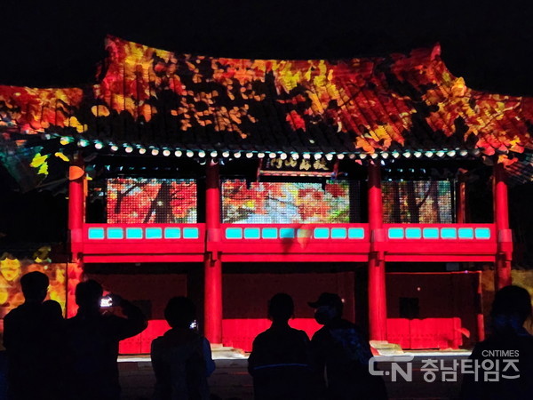 부여 세계유산 미디어아트 페스티벌 주요 장면. 사진=부여군