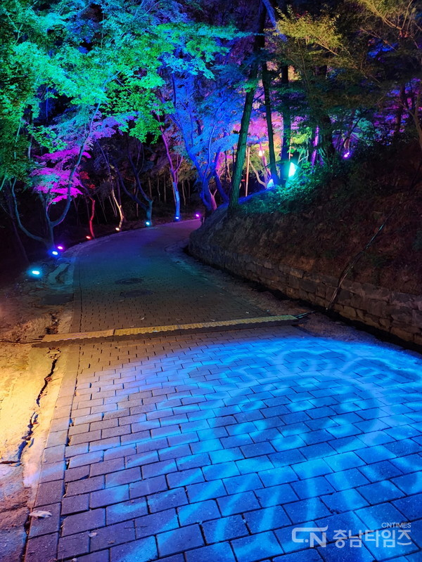 부여 세계유산 미디어아트 페스티벌 주요 장면. 사진=부여군