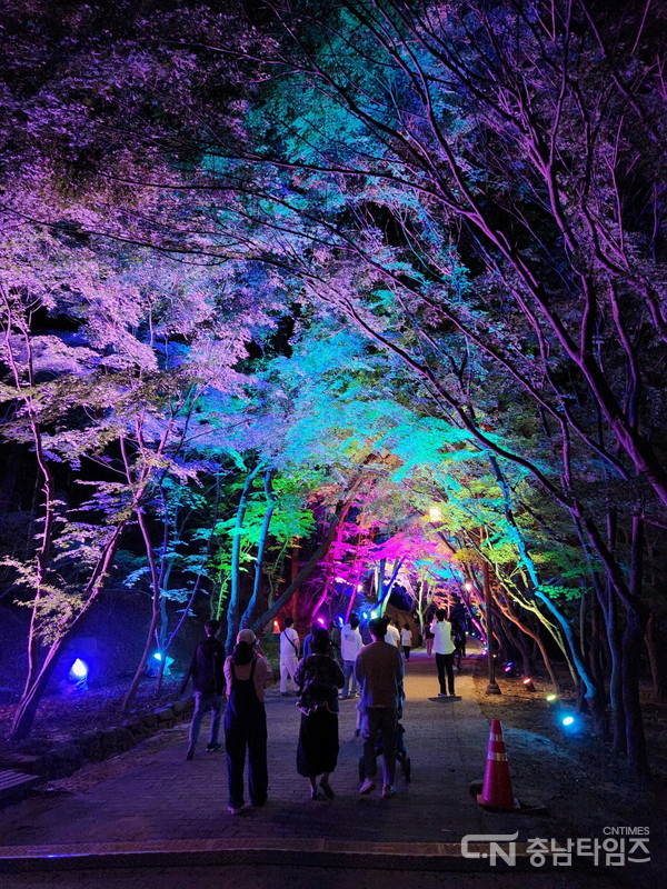 부여 세계유산 미디어아트 페스티벌 주요 장면. 사진=부여군