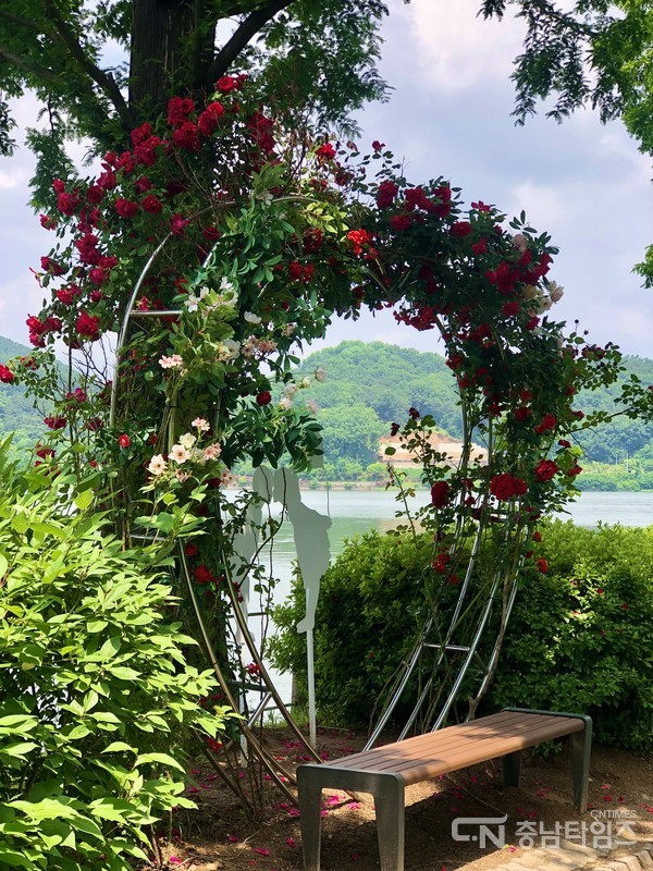 신정호 장미꽃 포토존. 사진=김재범 기자