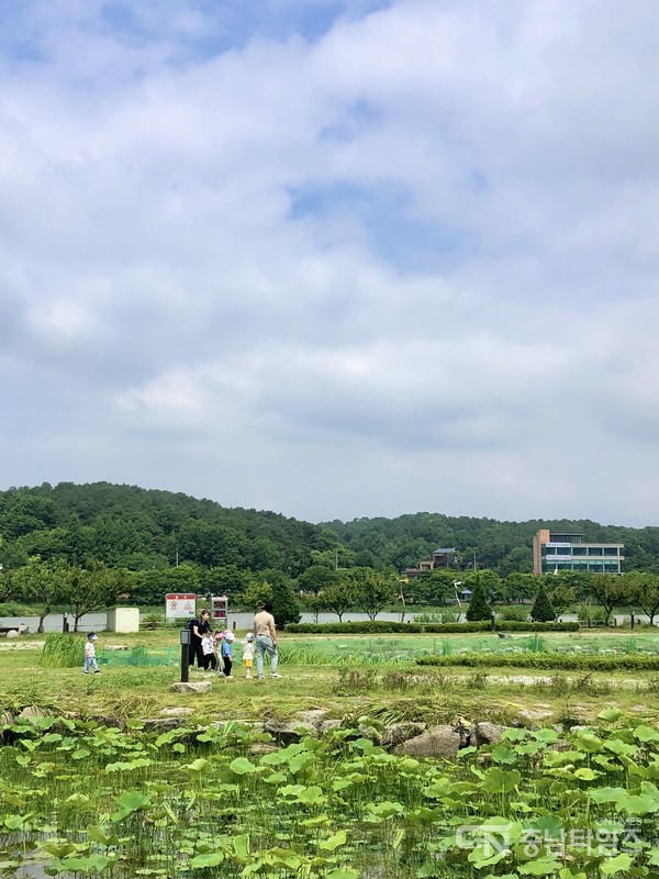 아산시 신정호에 소풍 나온 어린이집 아이들. 사진=김재범 기자
