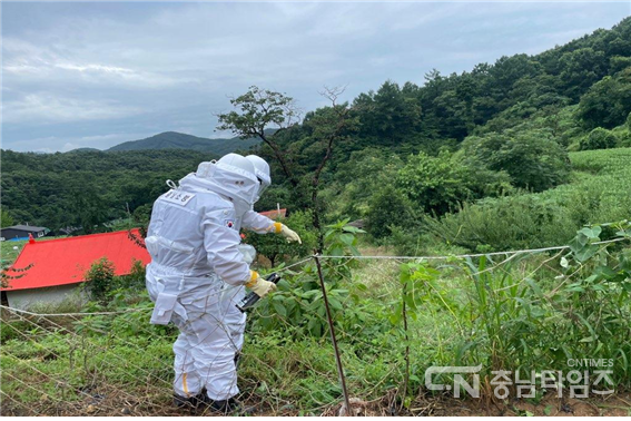 벌집제거 출동 현장. 사진=아산소방서